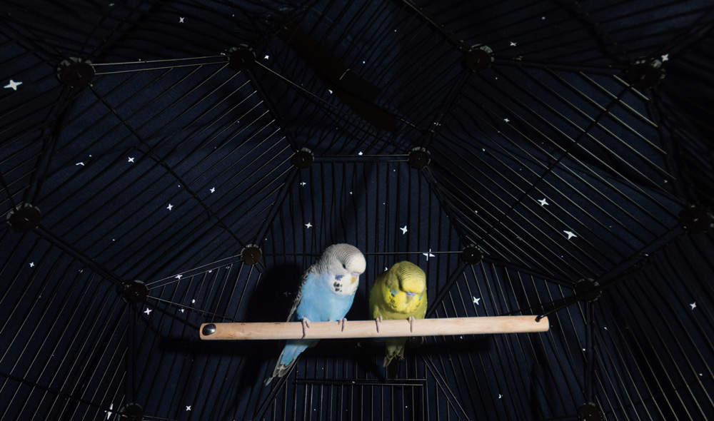 Klatka dla ptaków Omlet Geo z pokrywą nocną na klatce