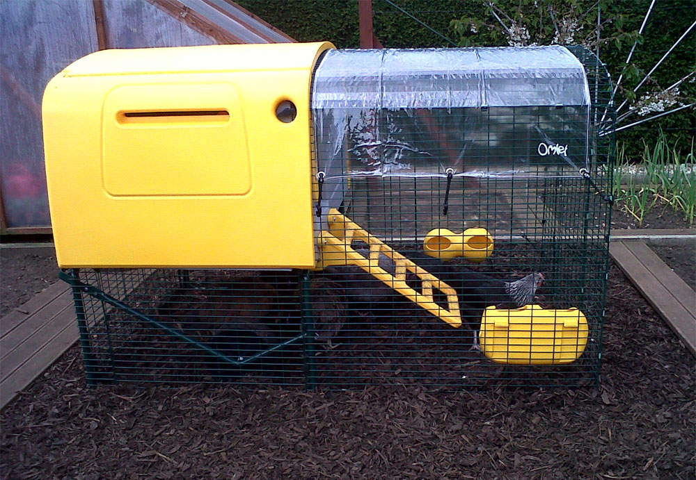 Yellow Eglu Cube large chicken coop with run and clear cover