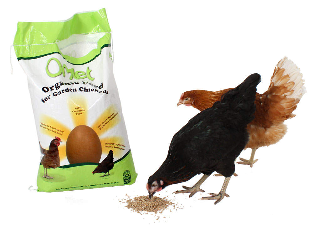 Les poulets adorent la nourriture biologique pour poulets Omlet 