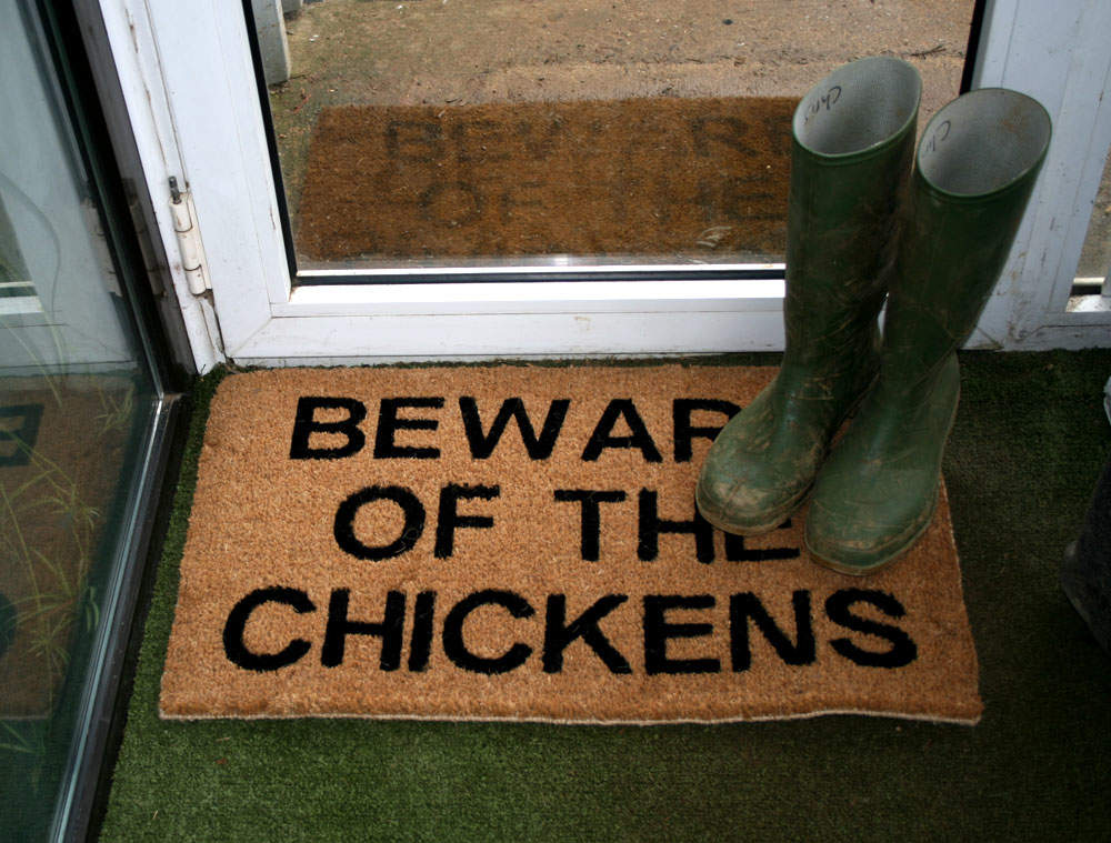 Attention aux poulets paillasson avec des bottes en caoutchouc dessus