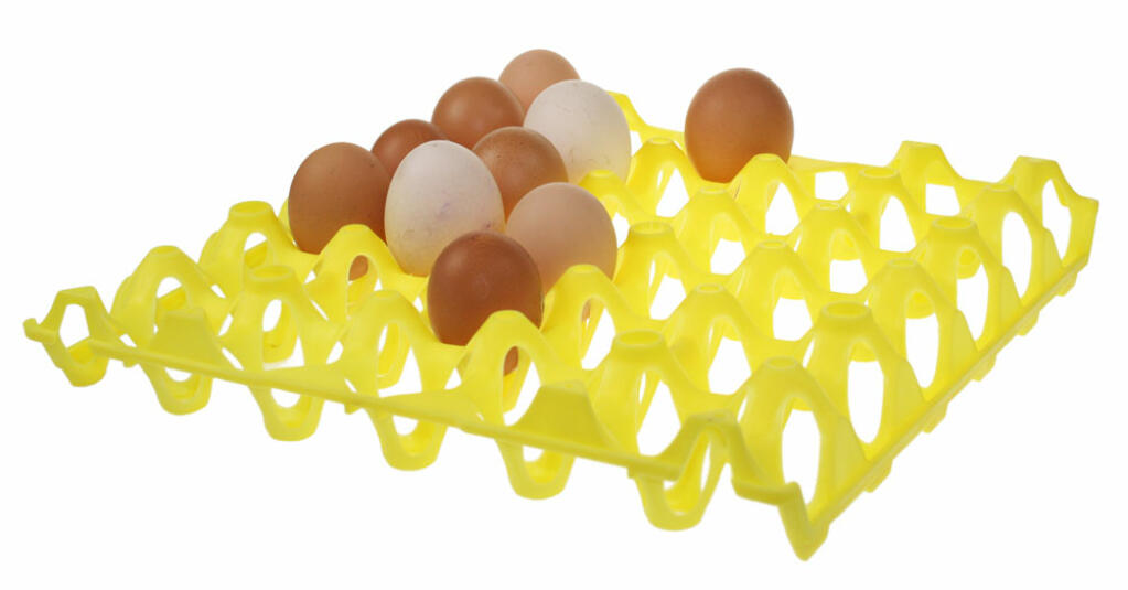 Plastic Egg Tray for easy egg collecting
