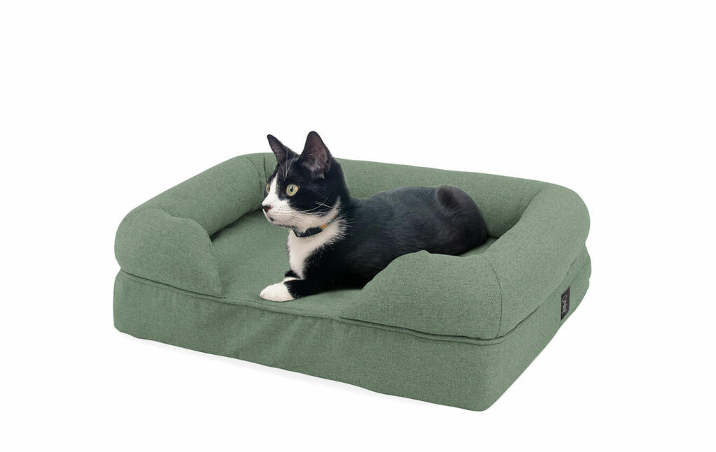 Kat liggend op salie groen bolster bed voor katten
