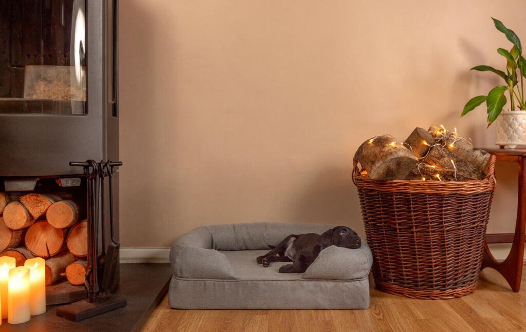 Een klein grijs traagschuim bolsterbed met een hond erop slapend in een woonkamer