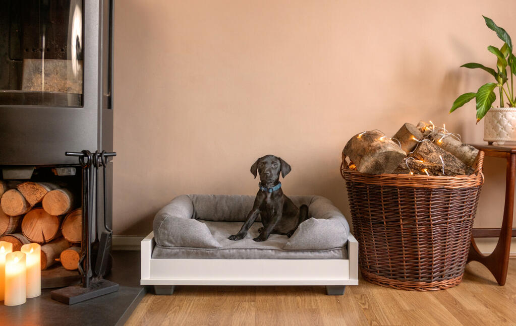 Een kleine donkerbruine hond op een grijs bolsterbed in een woonkamer