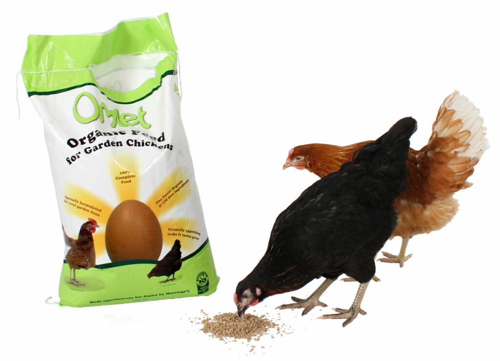 Chickens love the organic Omlet Chicken Feed
