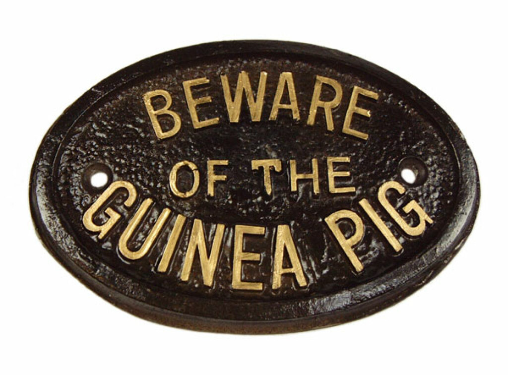 Beware of the guinea pig plaque