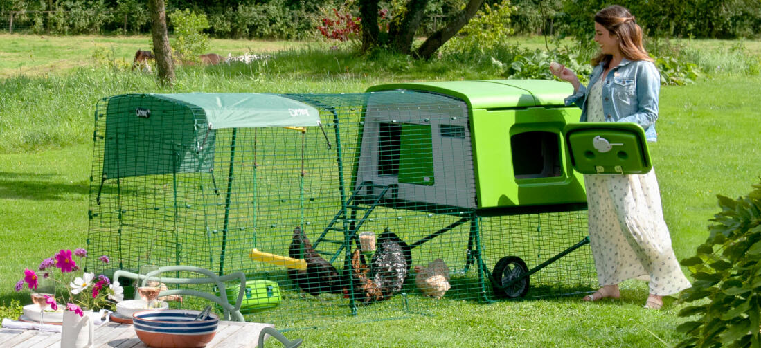 Eglu Cube hønsehuset gør det ligetil og sjovt at holde høns, perfekt for både nybegyndere og erfarne hønseholdere.