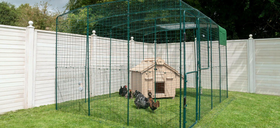 Umieść kurnik Lenham na wybiegu dla kurczaków lub ogrodzonym terenie i zapewnij swoim kurczakom bezpieczne miejsce, do którego będą mogły wrócić na koniec dnia.