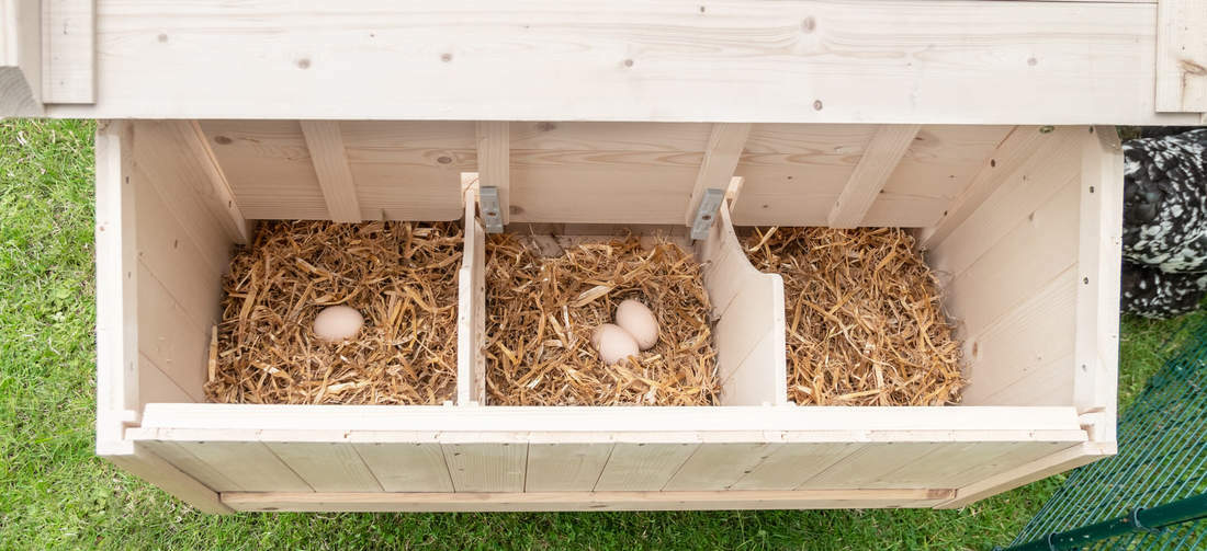 The nest boxes on the side of the chicken coop are perfect for all sizes of chickens, and lets them lay their eggs in peace.