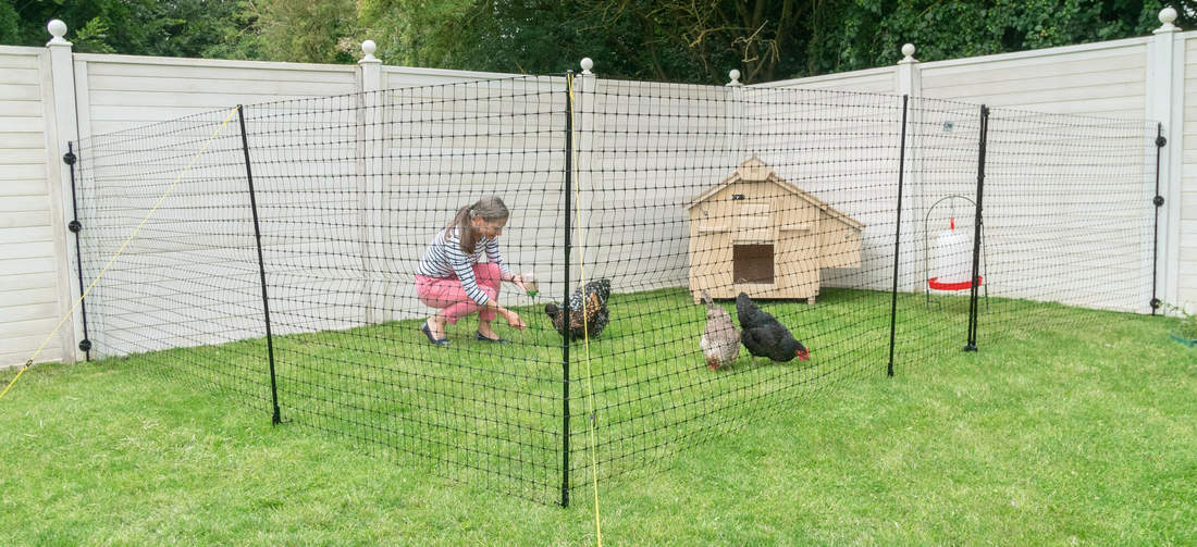 Omlet instalación de vallas para pollos en un jardín.
