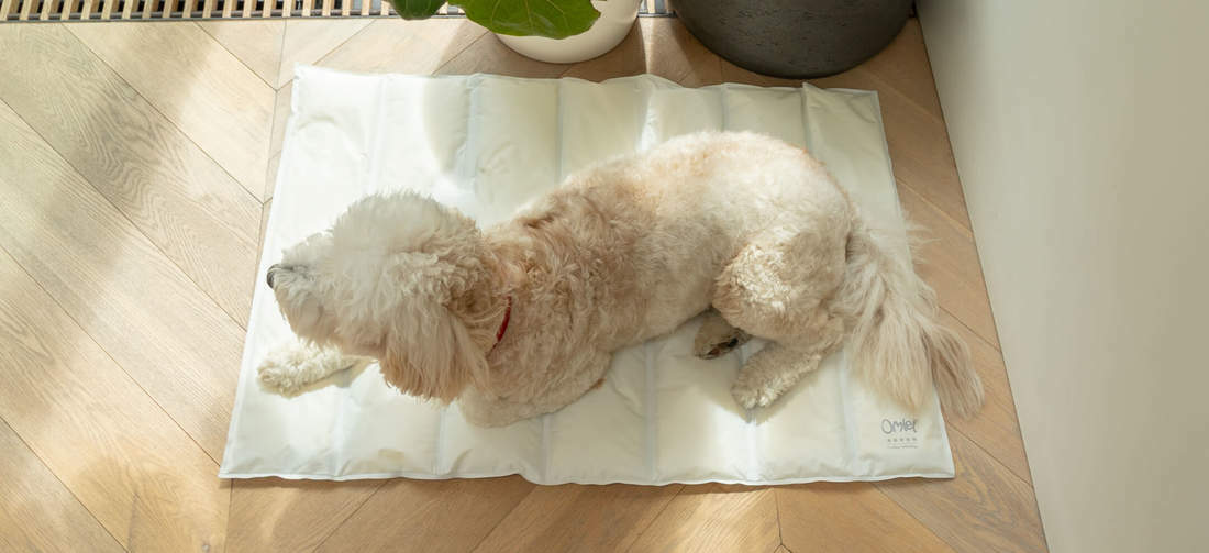 The memory foam offers ultimate comfort, so you can choose if you want to put the mat on your dog’s bed or straight on the floor.