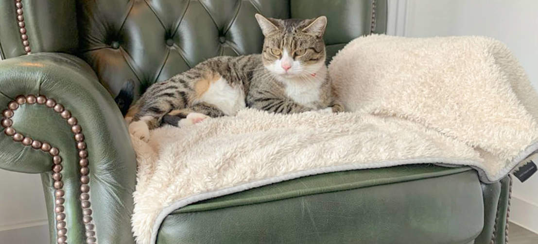 Vos chats seront ravis de pouvoir se blottir dans cette couverture de luxe extra douce pour une petite sieste.