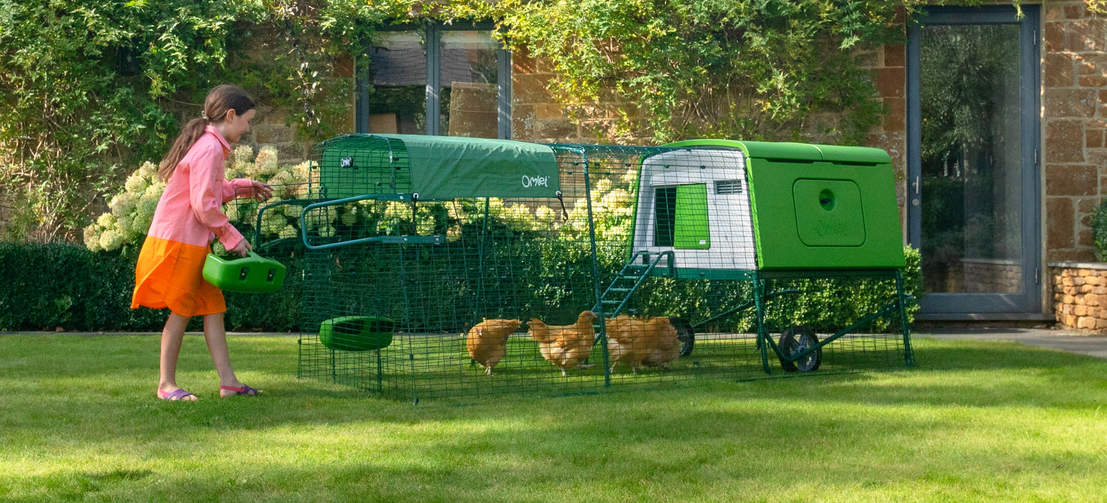 Junges mädchen füttert hühner in einem grünen Cube hühnerstall mit auslauf und abdeckung