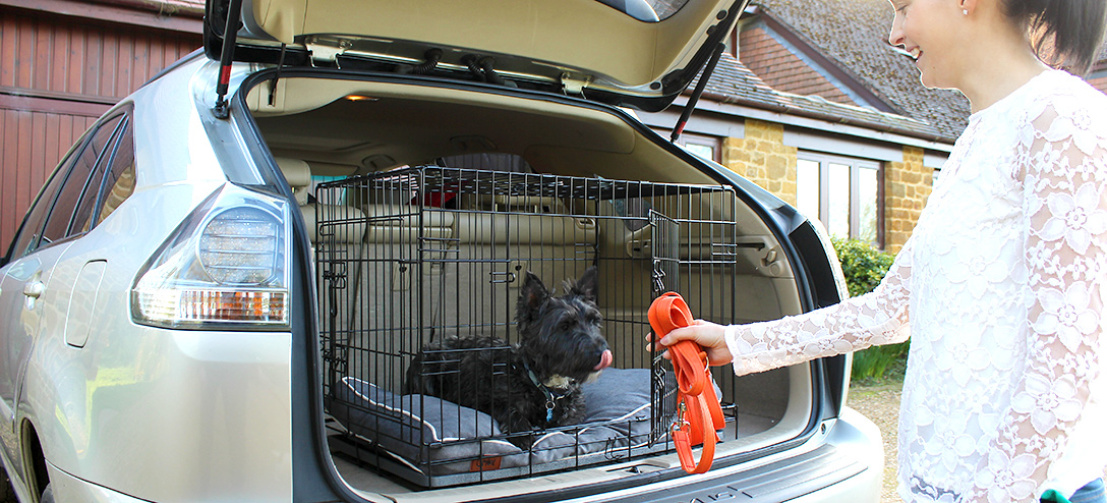 La cage sécurisée Fido Classic est facile à transporter et convient parfaitement aux trajets en voiture