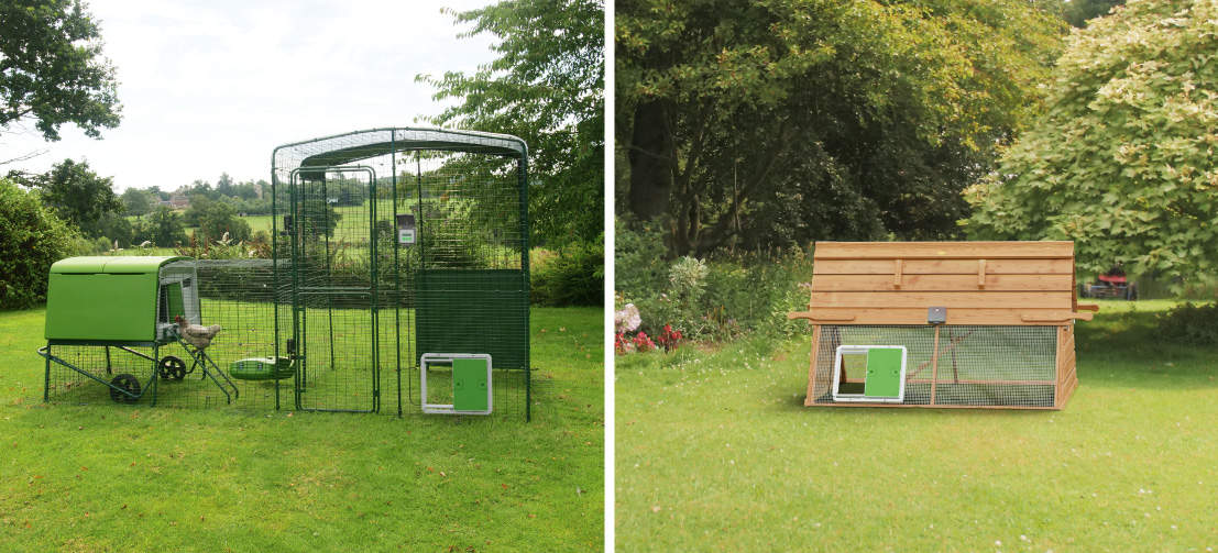 an autodoor attached to two different chicken coops with mesh including a walk in run