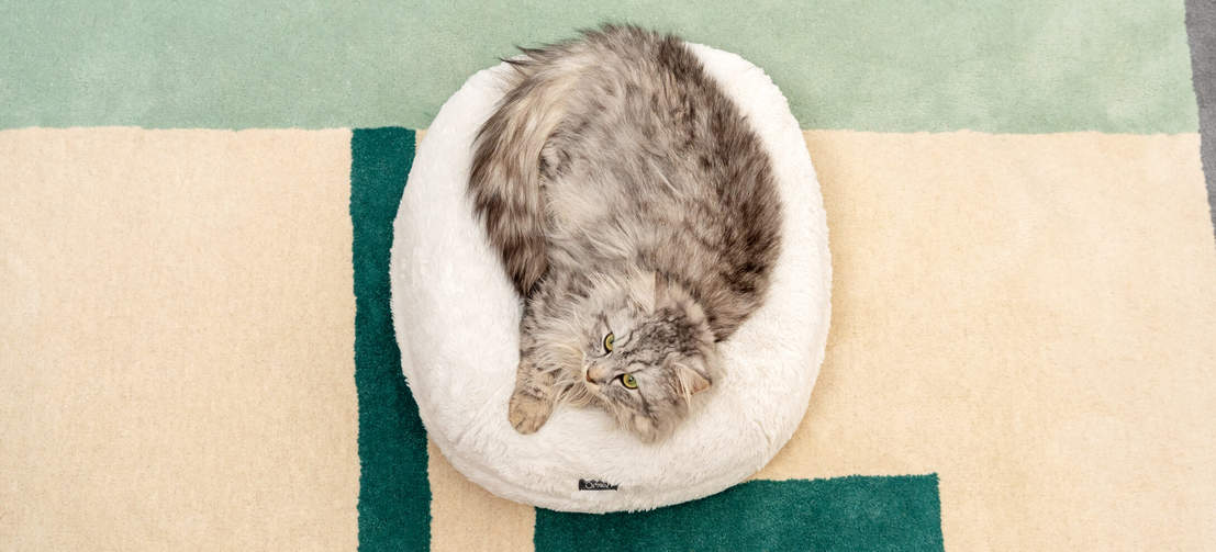 En katt som ligger i en snøhvit smultring, rund kennel ser glad og varm ut