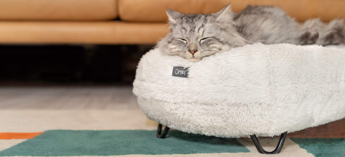 Gato durmiendo en una cama de lujo maya donut blanco nieve con patas de metal de horquilla negras