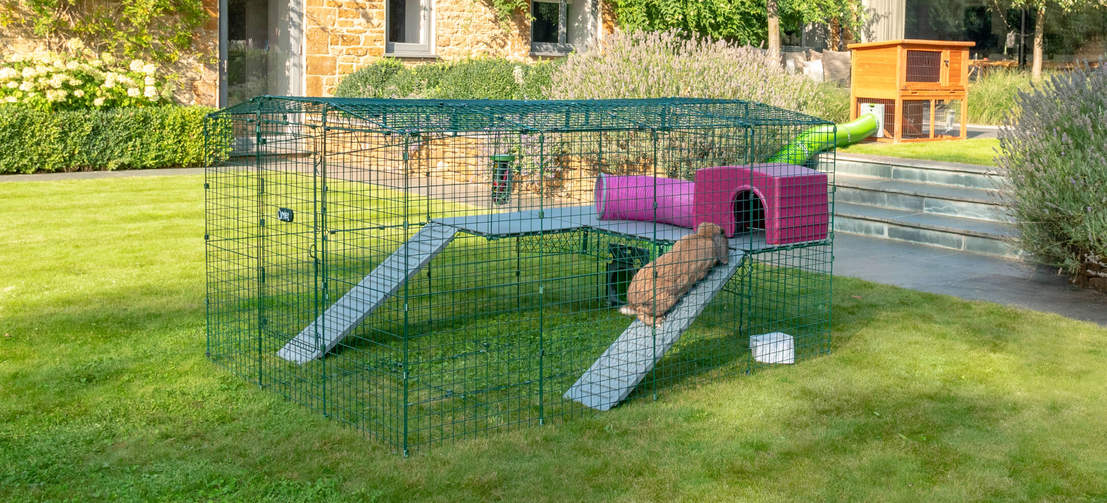 Kanin klatrerampe opp til Zippi plattformer i Omlet Zippi kanin lekegrind
