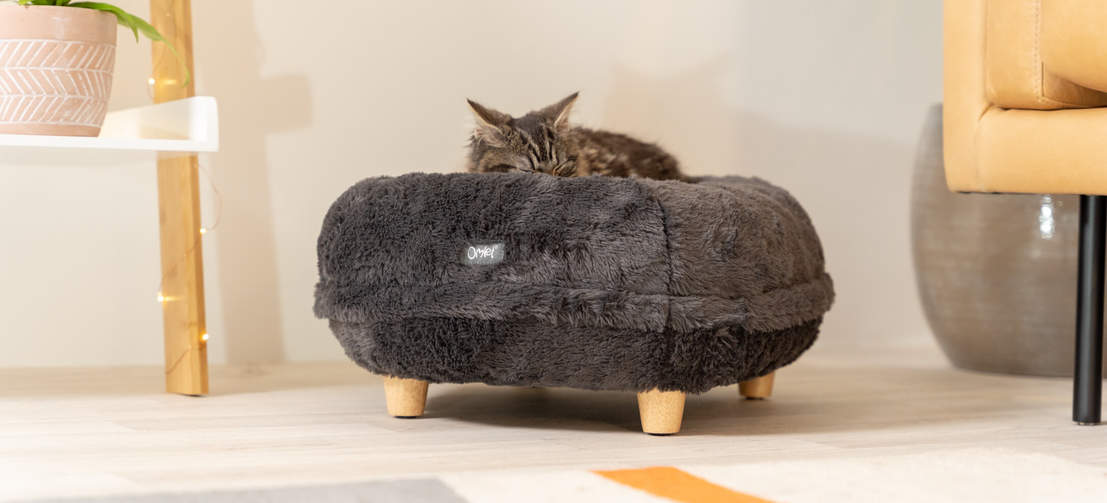 Katt liggende på earl grey smultring katteseng med tre tilpassbare føtter