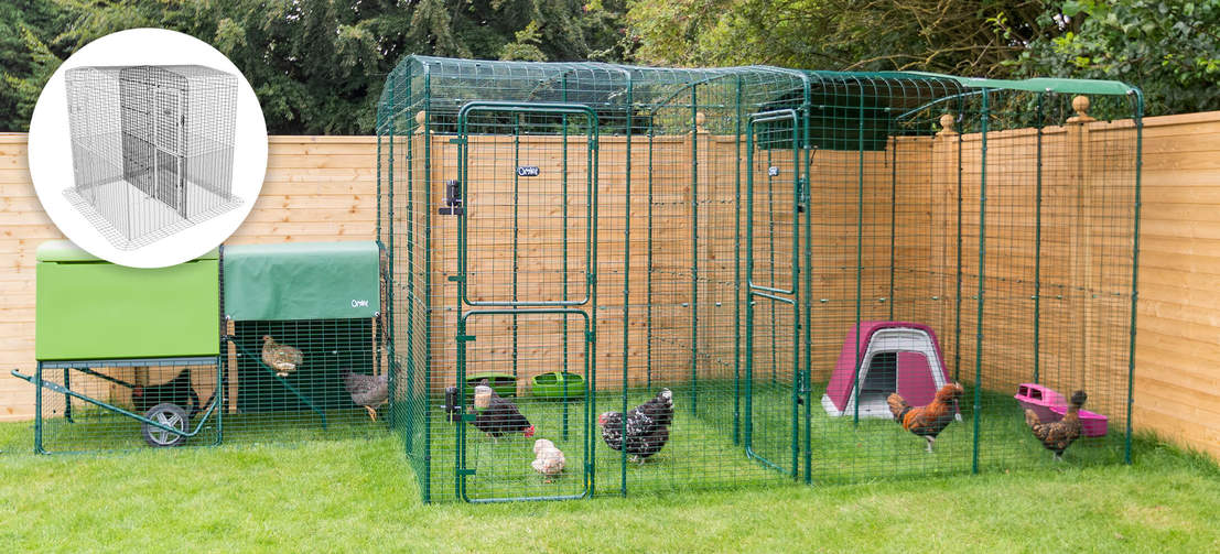 a large walk in run with a run partition separating two group of chickens