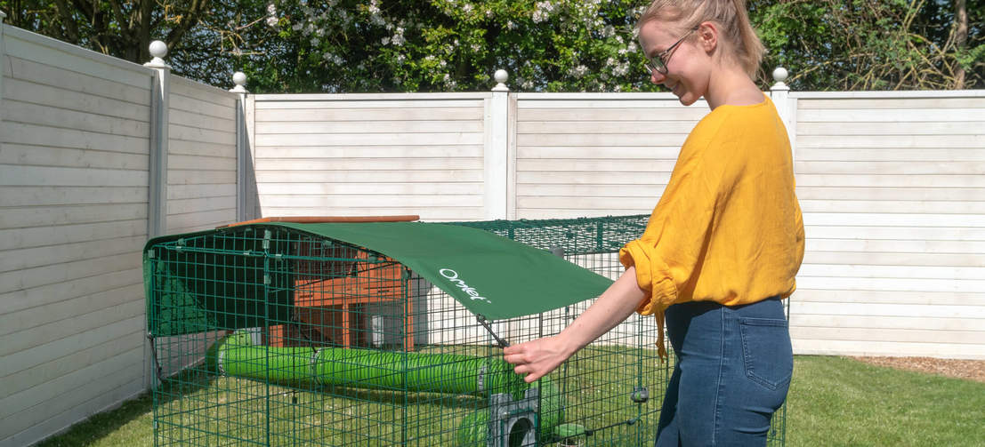 Lady with Omlet Zippi Rabbit Playpen with Hutch connected with Zippi Tunnel