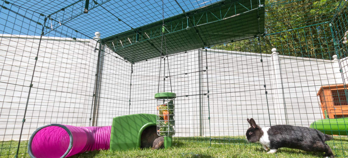 W pełni zamknięte Wybiegi dla królików Zippi wykonane są z wytrzymałej, spawanej stalowej siatki i zapewniają zwierzętom bezpieczeństwo w zakresie 360 °.
