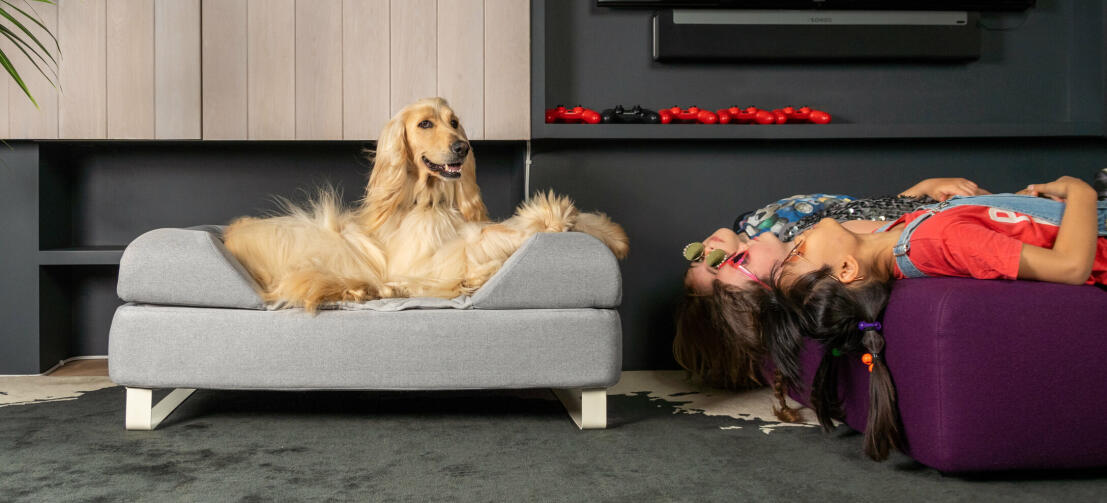 Topology® - Luxus Hundebett mit austauschbaren Topper und Füßen