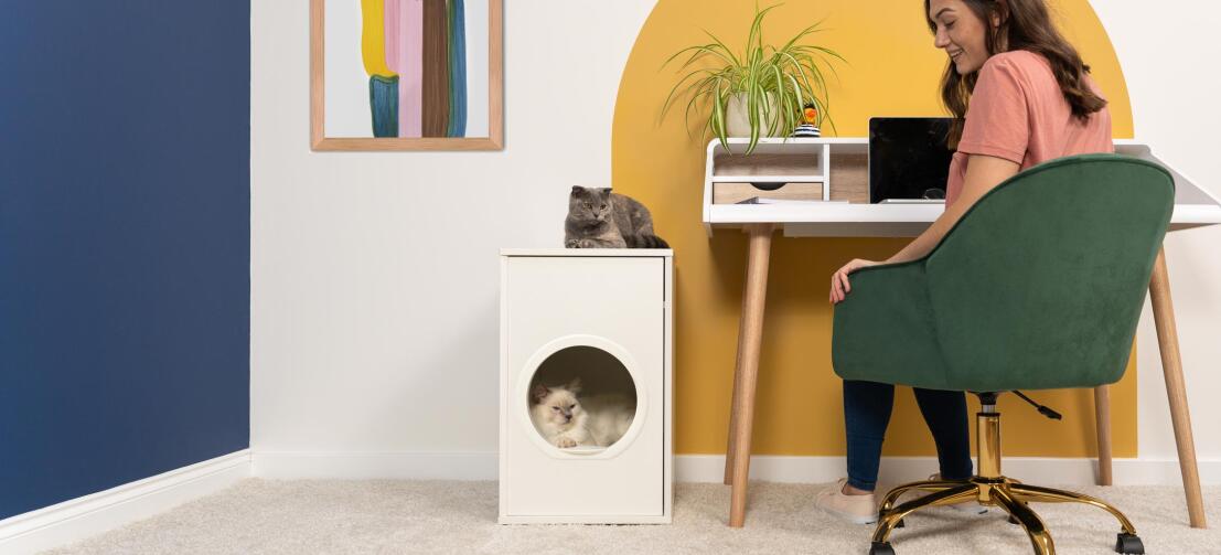 White Fluffy Cat Inside Omlet Maya Cat House with Grey Cat Sitting on Top