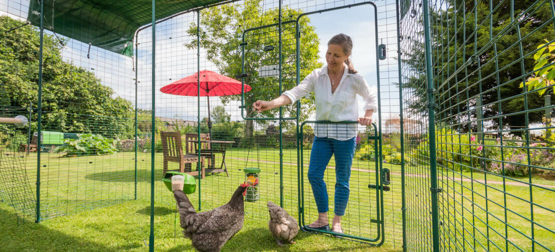Lady opening the hi-rise part of the Omlet Walk in Chicken Run door with chickens inside