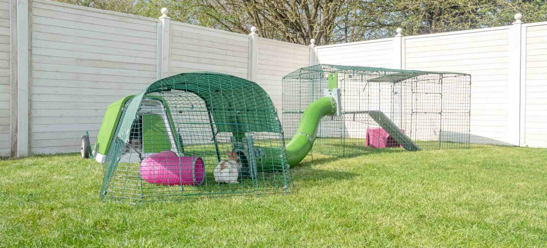Hage med en grønn Eglu Go kaninbur, kanin utendørs tur i løp og Zippi tunneler for kaniner