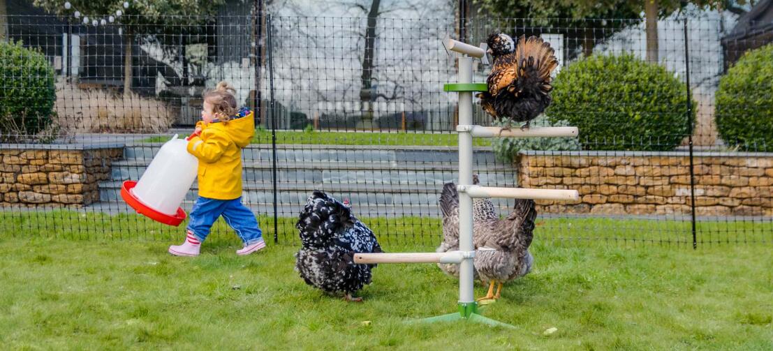 Ein Kind, das sich an der Gesellschaft seiner Hühner im Garten erfreut