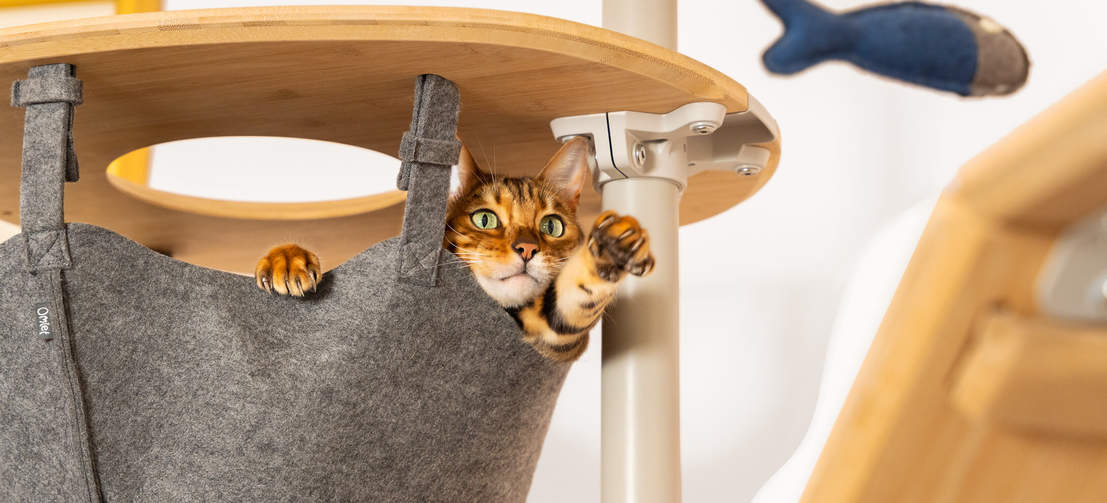 Chat dans un hamac en feutre jouant avec un jouet en forme de poisson sur Freestyle arbre à chat d'intérieur allant du sol au plafond