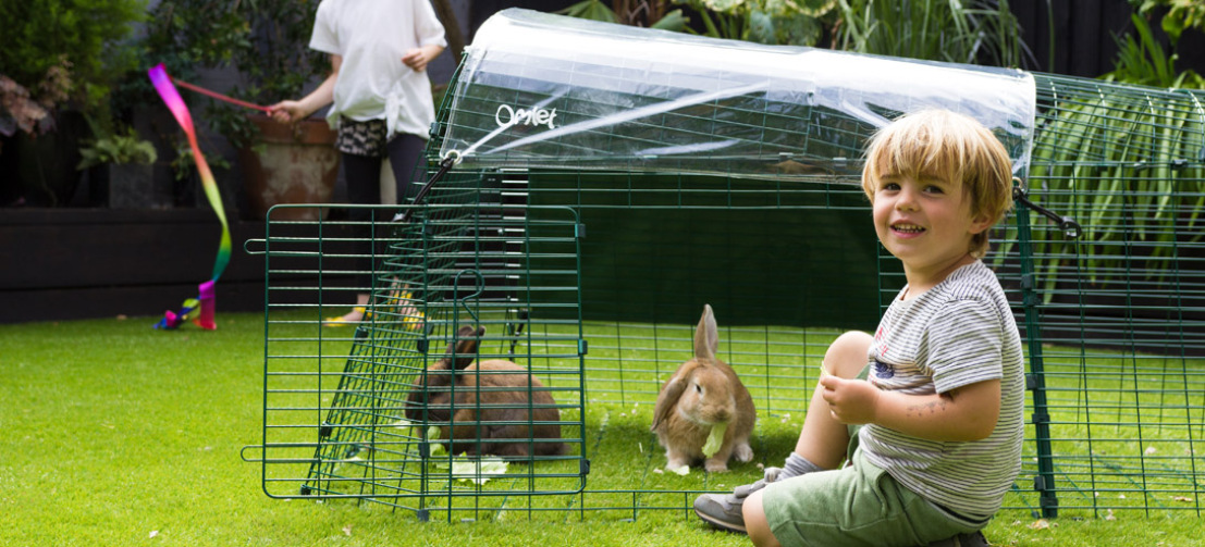 Met een Eglu Go hok en ren, kunnen u en uw konijnen samen tijd doorbrengen in de tuin.