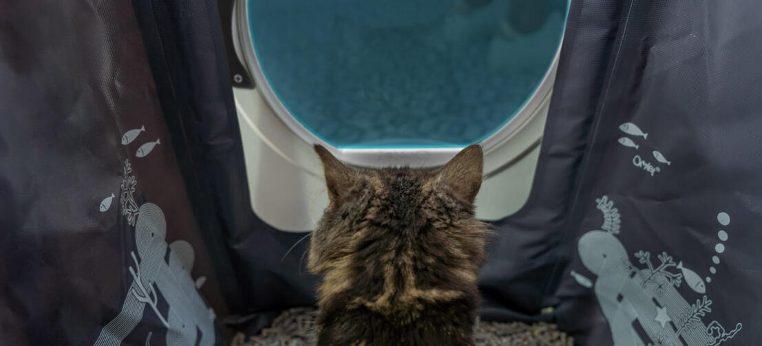 Gatto dentro Maya lettiera per gatti mobili con privacy