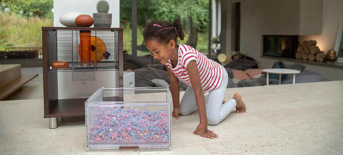 A girl looking at the burrowing box of the Qute hamster and gerbil cage