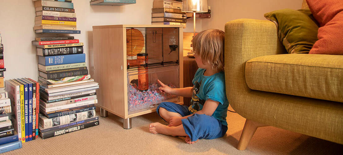 A kid looking at a hamster inside a Qute hamster cage