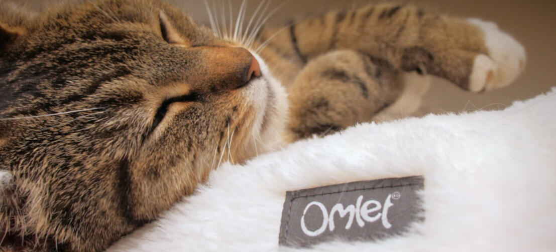 Nærbilde av katt som sover på hvit Maya katt-smultringseng