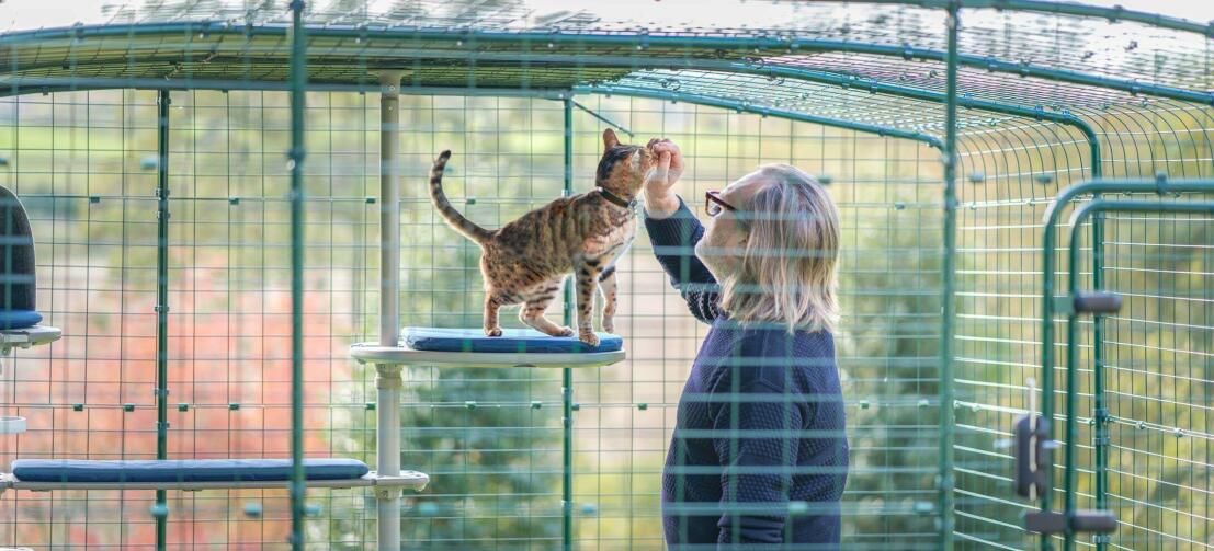 Mand og kat i et kattehegn, der nyder det personlige udendørs kattetræ