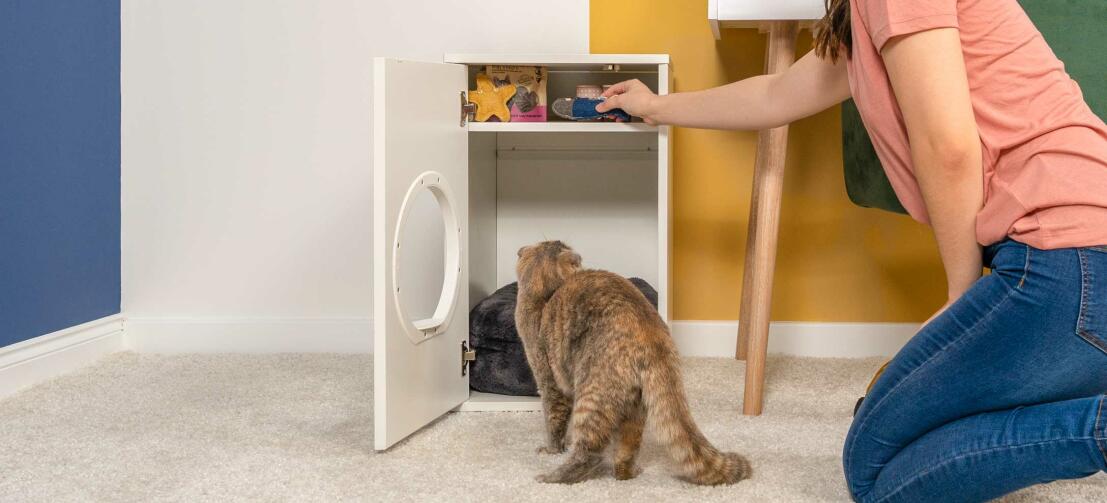 Gato inspeccionando Maya casa del gato con la puerta abierta