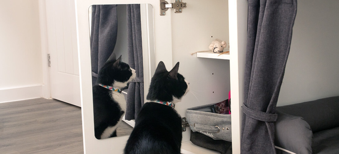 Il gatto ha l'abitudine di cercare i suoi bocconcini mentre siete fuori casa? Il guardaroba Maya Nook offre una soluzione pulita (e sicura!)