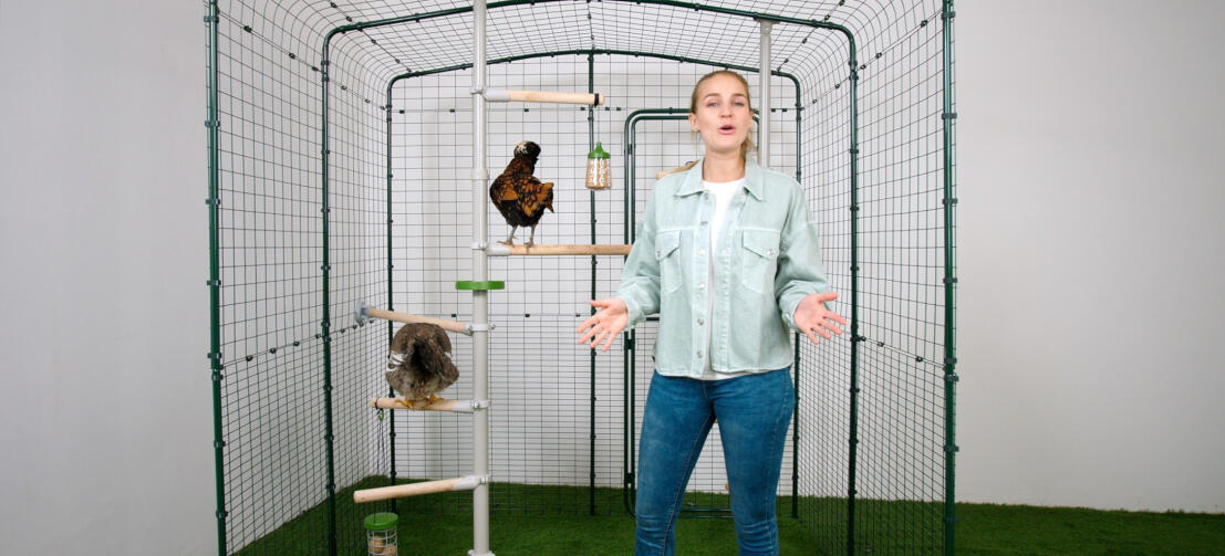 Girl next to a Poletree chicken perching system