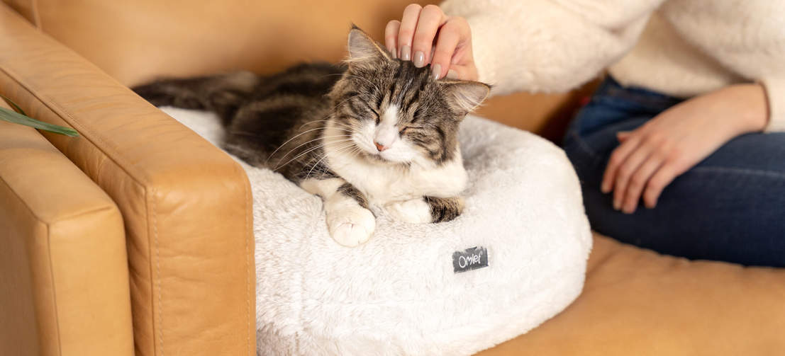 Kattsängen är formad som en donut vilket ger din katt stöd när den sover gott i den varma och mysiga sängen.