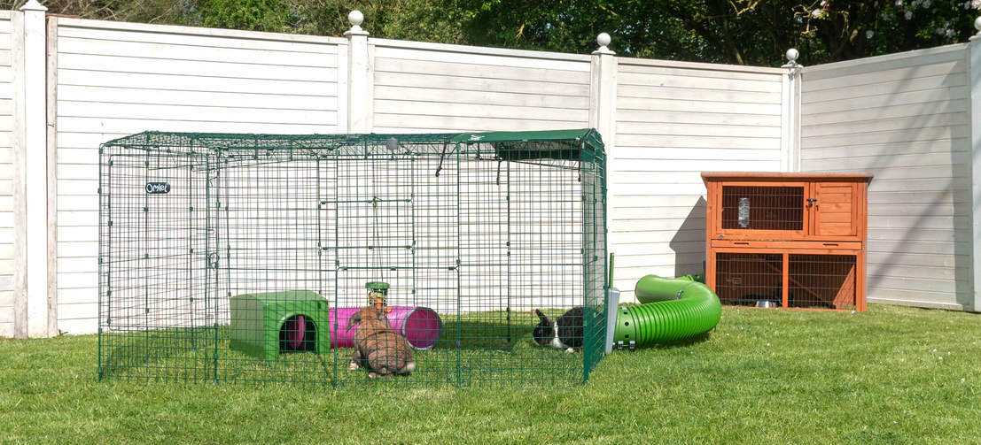 A rabbit run connected to wooden rabbit hutch.