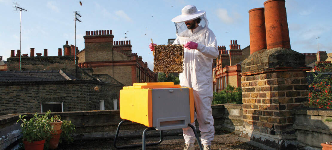 A yellow beehaus beehive on a rooftop in London