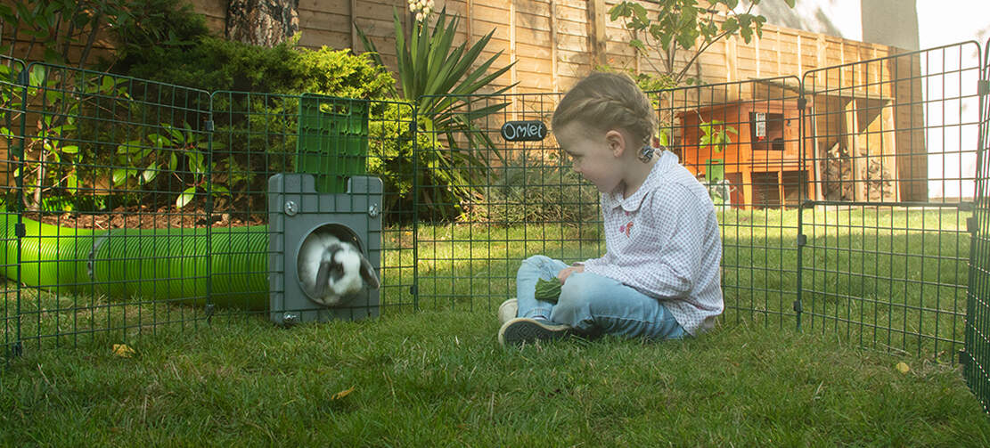 Kind im Omlet Zippi kaninchenlaufstall beobachtet kaninchen, das aus dem Omlet Zippi tunnel kommt