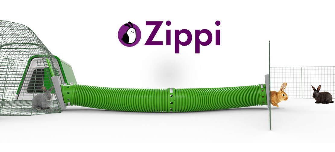 Le tunnel modulaire Zippi est fait pour relier un clapier à un enclos en toute sécurité