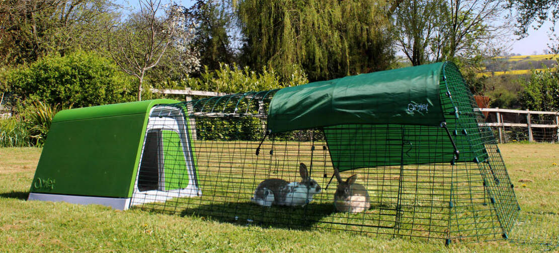 To kaniner leger i Eglu Go kaningården