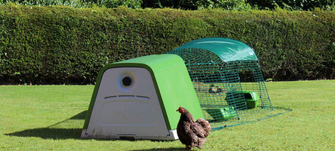 A range of weather proof shades are available to add to the run of the Eglu Go chicken coop - the stylish and contemporary choice of the modern backyard chicken keeper!