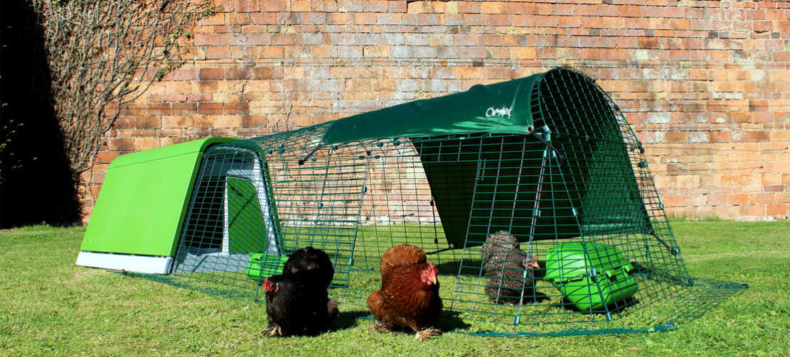 The modern design of the Eglu Go chicken coop allows easy access to the roosting bars and nesting area, all of which is super easy to clean