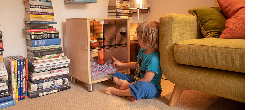 A kid looking at a hamster inside qute